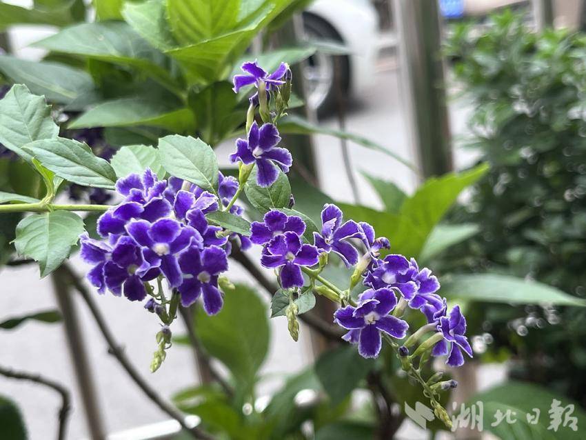 新老虎机官方